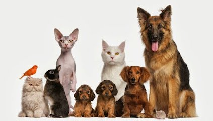 Woodcroft Vets, Handforth