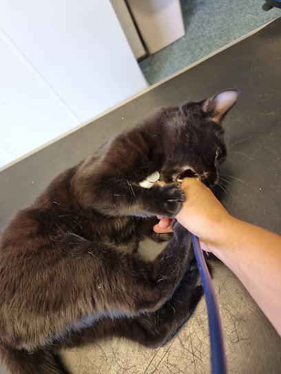 Woodford Halse Veterinary Surgery