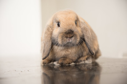 Woodside Veterinary Clinic