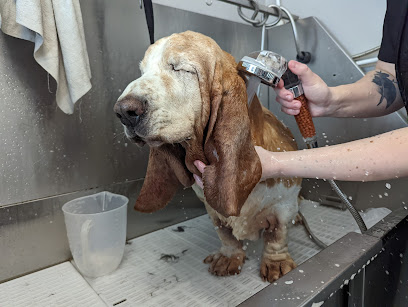 Woozelbears Hydrotherapy and Grooming