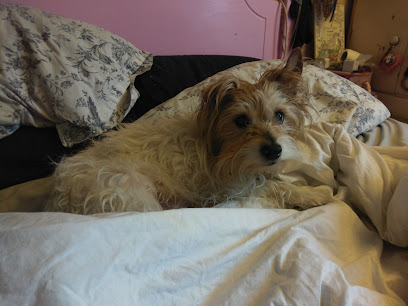 Worthing Animal Clinic