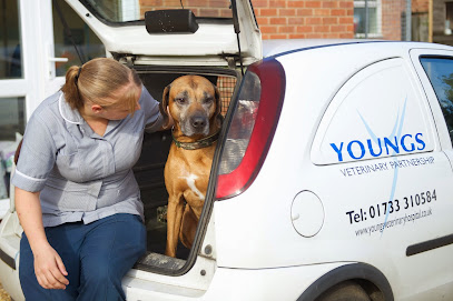 Yarwell Veterinary Surgery