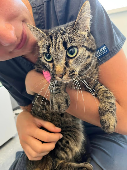 Yew Tree Veterinary Centre