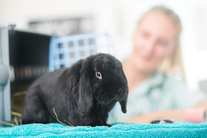 Yorkshire Vets - Thornbury Hospital